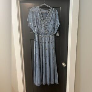 Adrianna Papell Special Occassion Dress